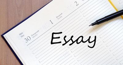  What You should know About 123 Essay  to learn how